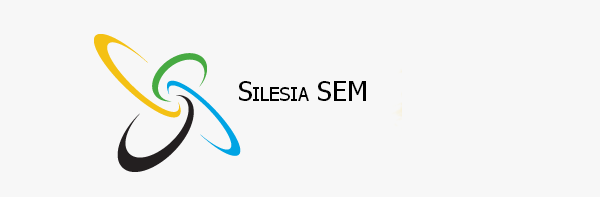 Podsumowanie: SilsesiaSEM #8