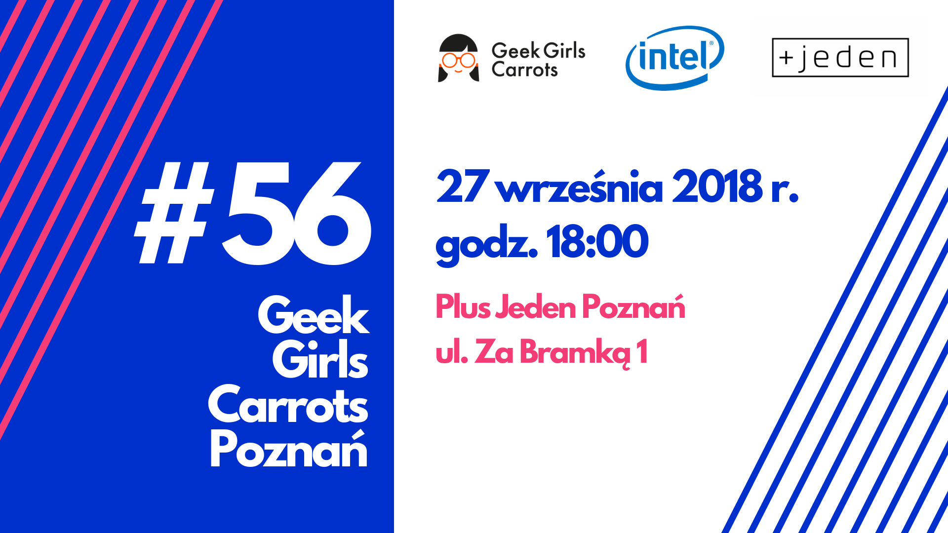 geek-girls-carrots-poznan-56