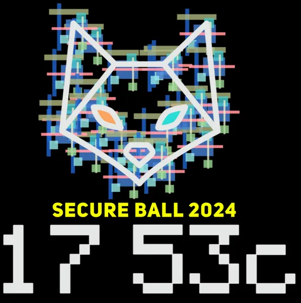 17-53c-secure-ball-2024